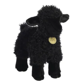 Black Lamb