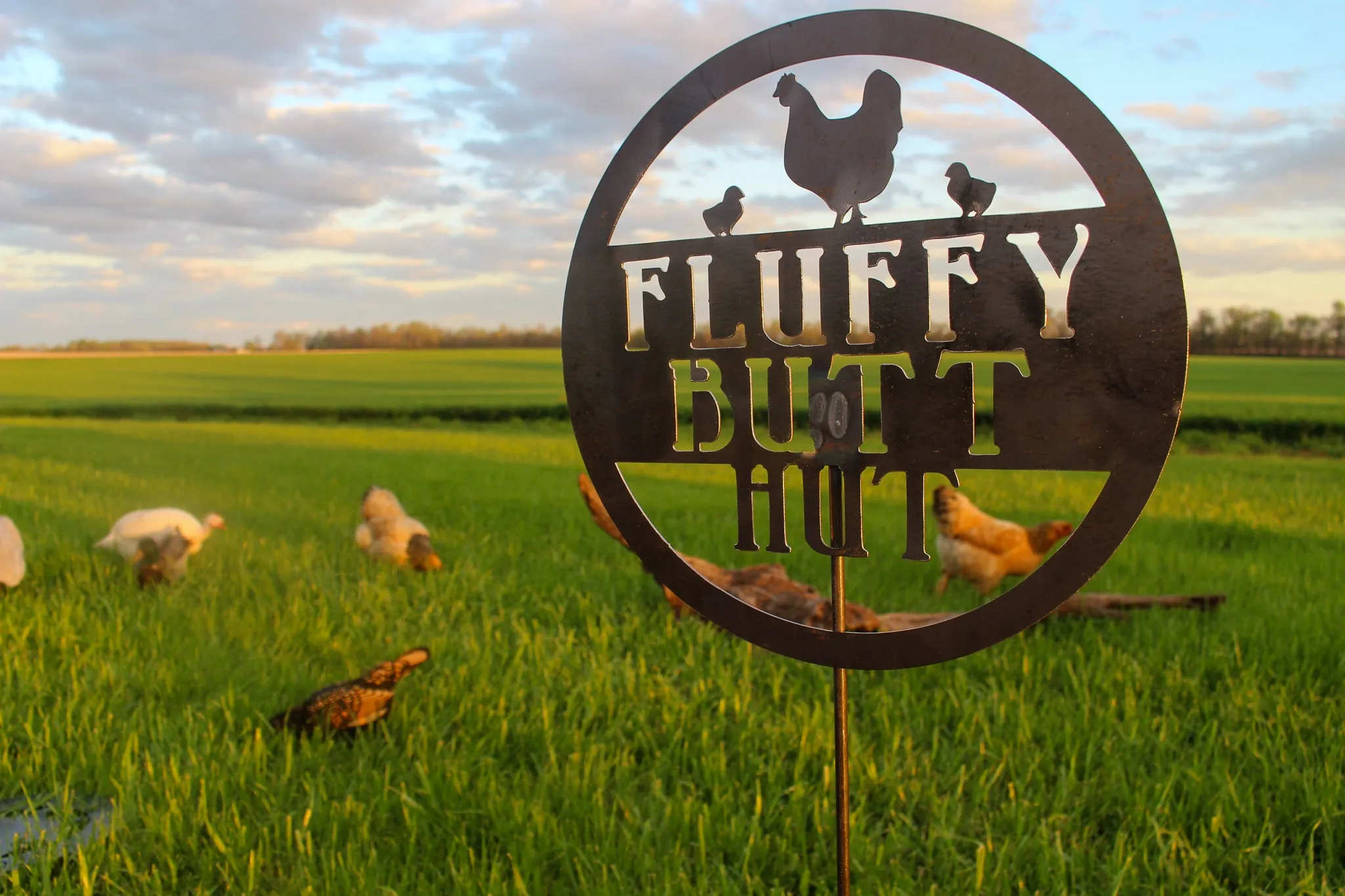Fluffy Butt Hut - Metal Chicken Coop Garden Stake - Chicken Lawn Decor - Funny Farmhouse Yard Art - Homestead Garden Decor