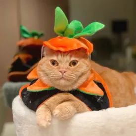 Halloween Pet Cloak