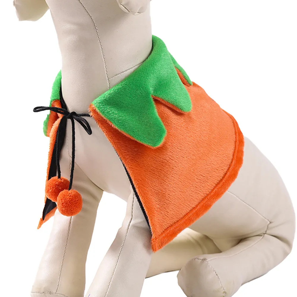 Halloween Pet Cloak