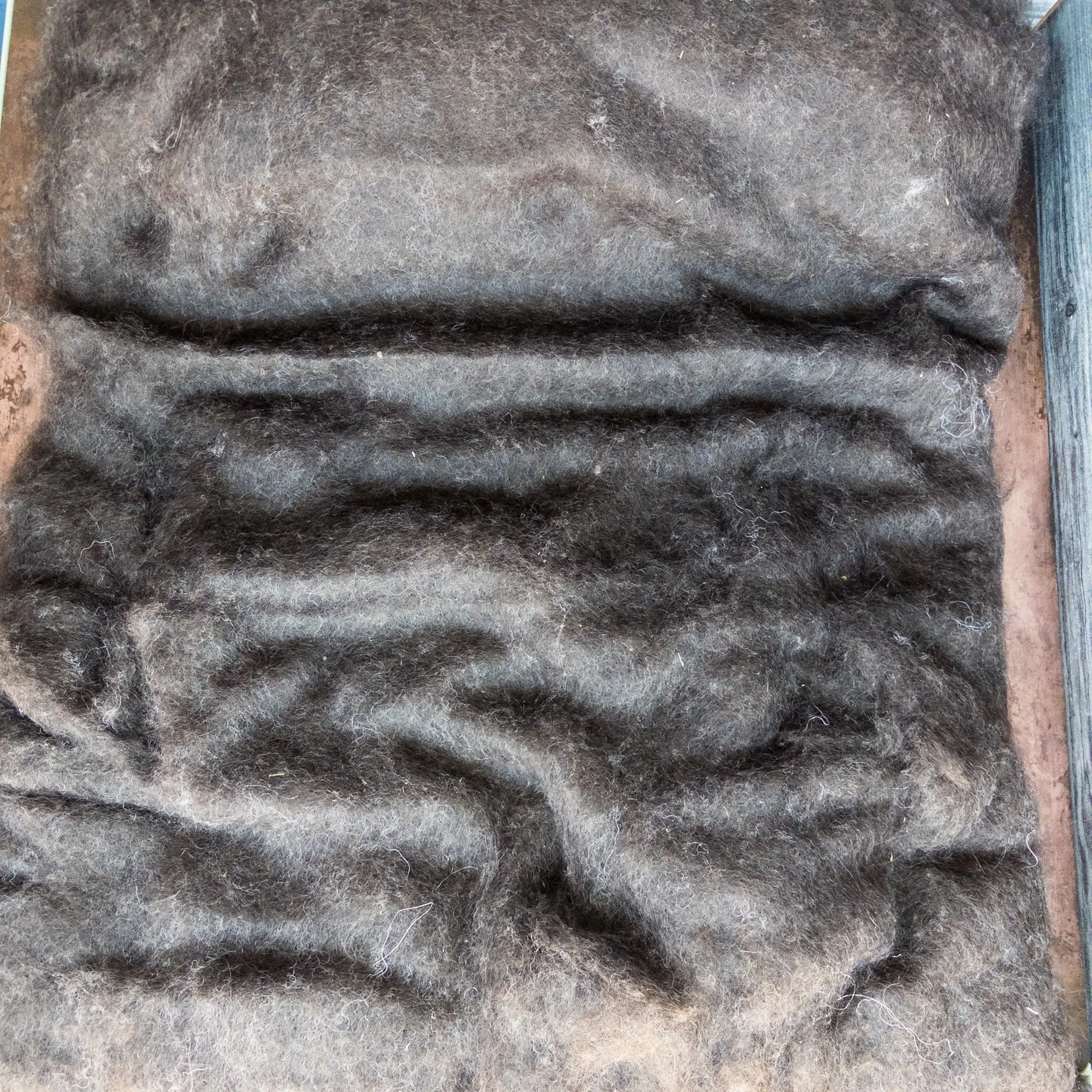 Montana Icelandic Lamb Wool Batt - Natural Black 8oz